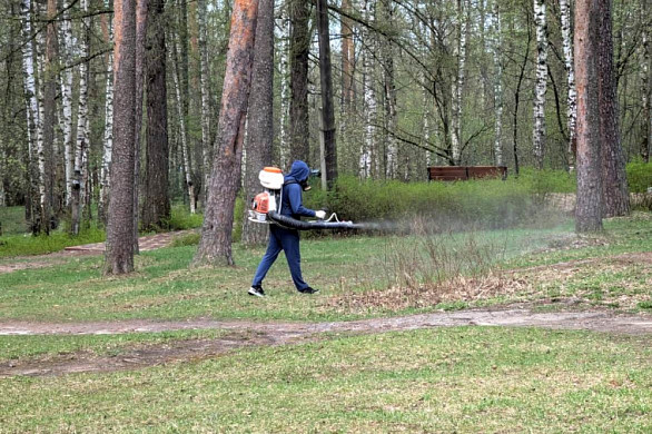 В Иванове очистили от клещей все городские парки 